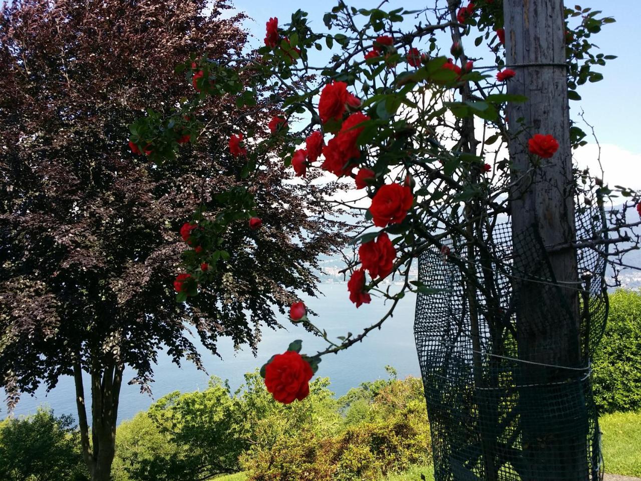 Locanda Pozzetto Laveno-Mombello Buitenkant foto